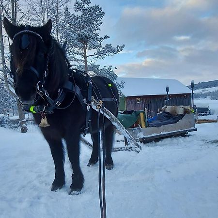 شقة Os (Hedmark)  في Fantgrenda Overnatting المظهر الخارجي الصورة