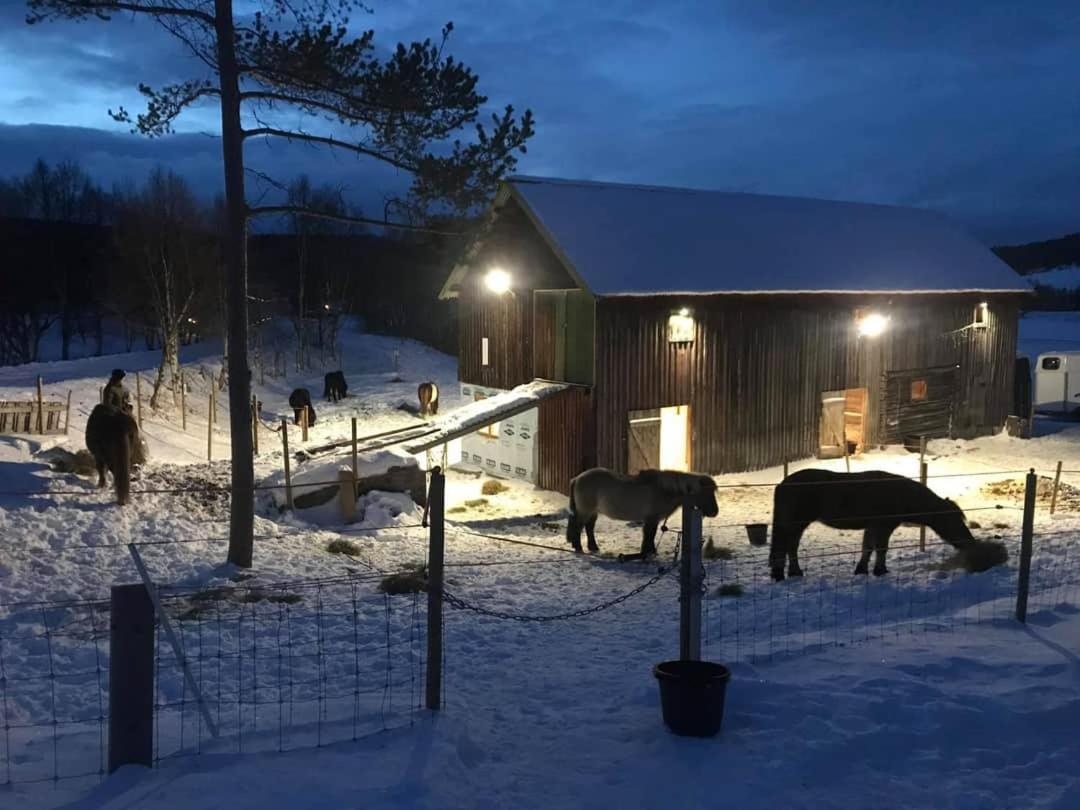 شقة Os (Hedmark)  في Fantgrenda Overnatting المظهر الخارجي الصورة