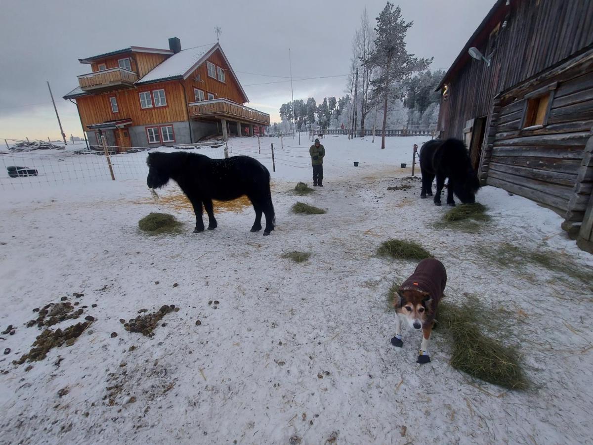 شقة Os (Hedmark)  في Fantgrenda Overnatting المظهر الخارجي الصورة