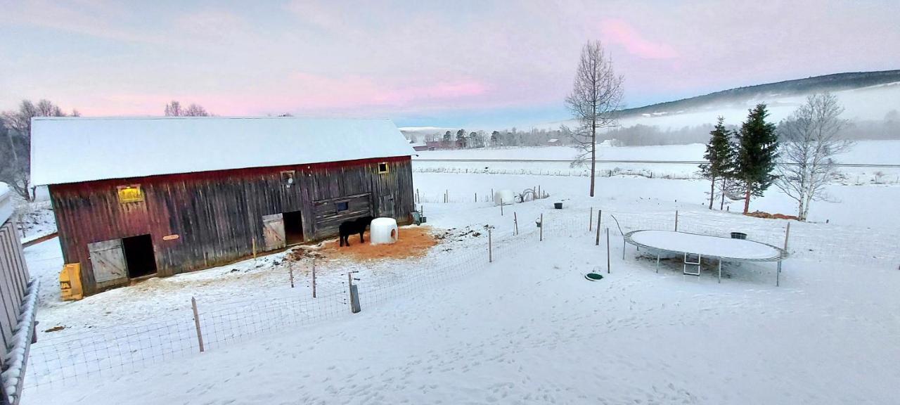 شقة Os (Hedmark)  في Fantgrenda Overnatting المظهر الخارجي الصورة